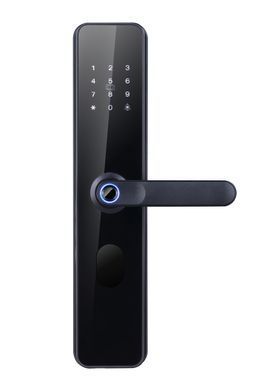 C6 ZigBee розумний замок Akubela