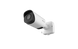 TS2966-X12TPE/A62 2МП IP-камера
